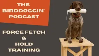 Force Fetch & Hold Training | Birddoggin&rsquo; Podcast S2E7