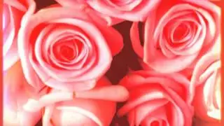 Real flower Decoration On Canvas Prints