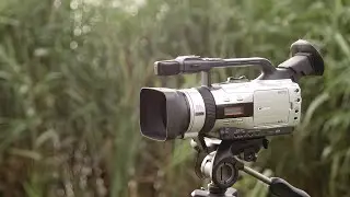 Canon GL2