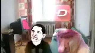 NexVo - U Janusza sie dziejom cuda. Meme Face😂
