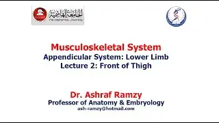 Lecture 2 - Anatomy of Appendicular System - MSS Module