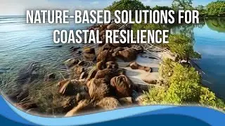 Nature-based solutions for coastal resilience live online course