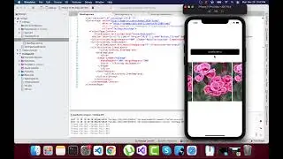 Xamarin Forms Collection View Scroll To Property
