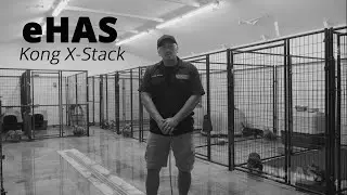 Конг &laquo;X-Stack&raquo; &mdash; от лагеря беженцев до всемирно известного заводчика собак