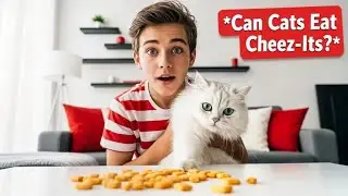 can cats eat cheez-its