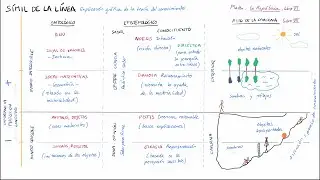 El Símil de la Línea de PLATÓN (Español)