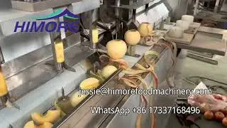 3-Station Apple Peeler Corer and Cutting to 2pcs
