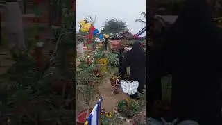 Spring festival ✨️ #pakistan #youtubeshorts #flowers