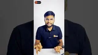 C Language Course in Telugu