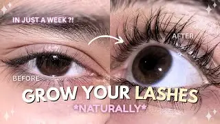 LONG and THICK lashes in a WEEK !? 🌿 | 2 EASY DIY Tips