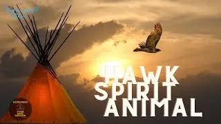 Protection, Divine Guidance - Hawk Spirit Animal - Leadership, Patience