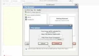 Upload and Insert a Video