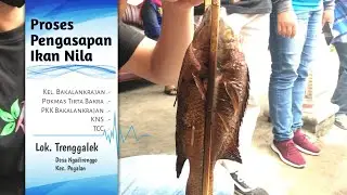 Tutorial Ikan Nila Asap | Cara membuat Ikan Nila asap | Ikan nila asap #ikanasap #nilaasap #ikannila