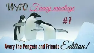 WAO Funny Montage#1 Avery the Pengu Edition