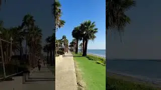 🇨🇾Beautiful Larnaca Beach #shorts #cyprus #larnaca #larnacabeach #travelvlog #nature