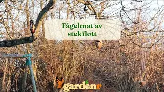 F&aring;gelmat av stekflott - Tr&auml;dg&aring;rdshacks med GardenR