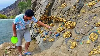 wow amazing ! Digging Up Hidden Treasures in the Dirt!