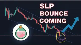 SLP PUMP COMING! Axie Infinity game economy update