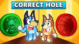DON'T CHOOSE THE WRONG HOLE in ROBLOX ✅❌