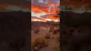 Sunset View in the Desert ☄️👁️ #sunset #sunsetview #desert