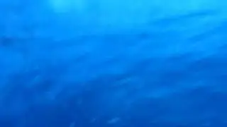 Diamond Head Surf Ride