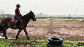 Eriders Dec 25 - Main Arena Intro 1b restricted 