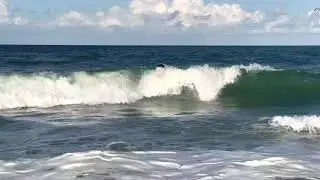 Surfer-11
