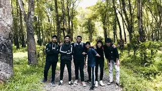 MISSING PERSON IN THE FOREST