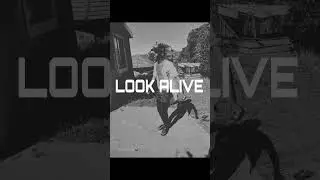 Thirdd Naturee_-_Look Alive