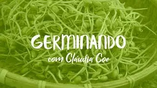 COMO GERMINAR E HIGIENIZAR OS GR&Atilde;OS + TABELA DE GERMINA&Ccedil;&Atilde;O GRATUITA