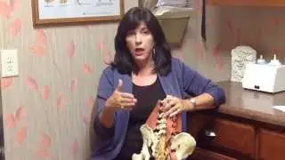 Treating Sacroiliac Joint (SI Joint) Dysfunction | Vicki Sims