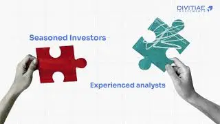 From Hours of Research to Confident Decisions | Divitiae Investments