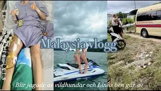 Backpackar i Malaysia: Blir jagade av vildhundar och Linns ben går av