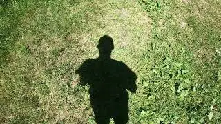 ASMR Spacer lasem do jeziora  w słoneczny dzień