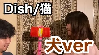 【替え歌】猫/dish   犬 〜ニート彼氏〜