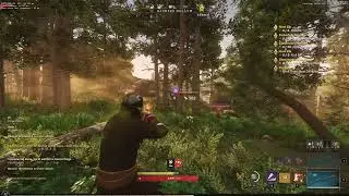 New World - Hatchet/Musket Solo PVP