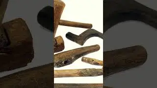 The Neem Tree Patent Battle   How a Sacred Hindu Plant Was Stolen