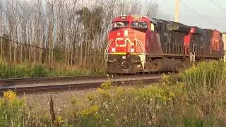 Weyauwega 9 1 a