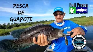 Pesca de GUAPOTES en San Juan de Nicaragua