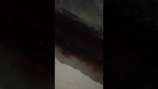 &Ouml;zbağ'dan Mide Bulandıran G&ouml;r&uuml;nt&uuml;ler