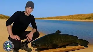 Pesca y Cocina de Todos los Peces del Mundo - PEZ GATO | CAP 1
