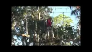 First Tries at TreeUmph! - Ascend walkway.mp4