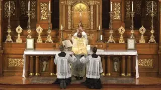 Live Stream - Feast of the Assumption Mass - (1962 Missal) August 15th