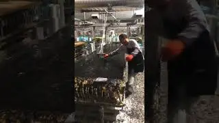 How a Molded FRP Fiberglass Walkway Grating is made?  ROSIE XIAO #fiberglass #manufacturer #stakes