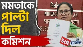 Top SIR News Today: রাজ্যজুড়ে আজকের SIR-এর বড় খবরগুলি একনজরে | #TV9D
