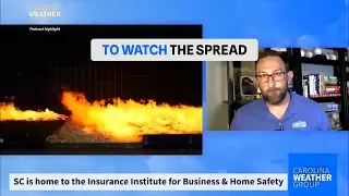 How Fuel Breaks Can Stop Wildfire Spread: Key Insights