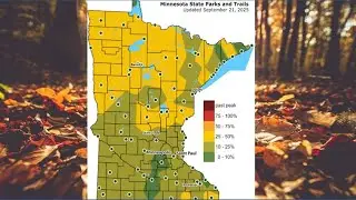 Where are the leaves at on the first official day of fall?