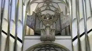 Dangerous Organ II: The only pipe organ with 128' stop