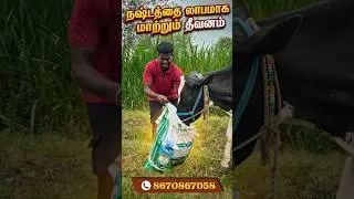 🥛 பால் உற்பத்தி அதிகரிக்க சிறந்த தீவனம் | Adheshwar Cattle Feed #farming#cattlefeed