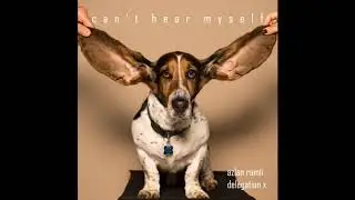 Can't Hear Myself